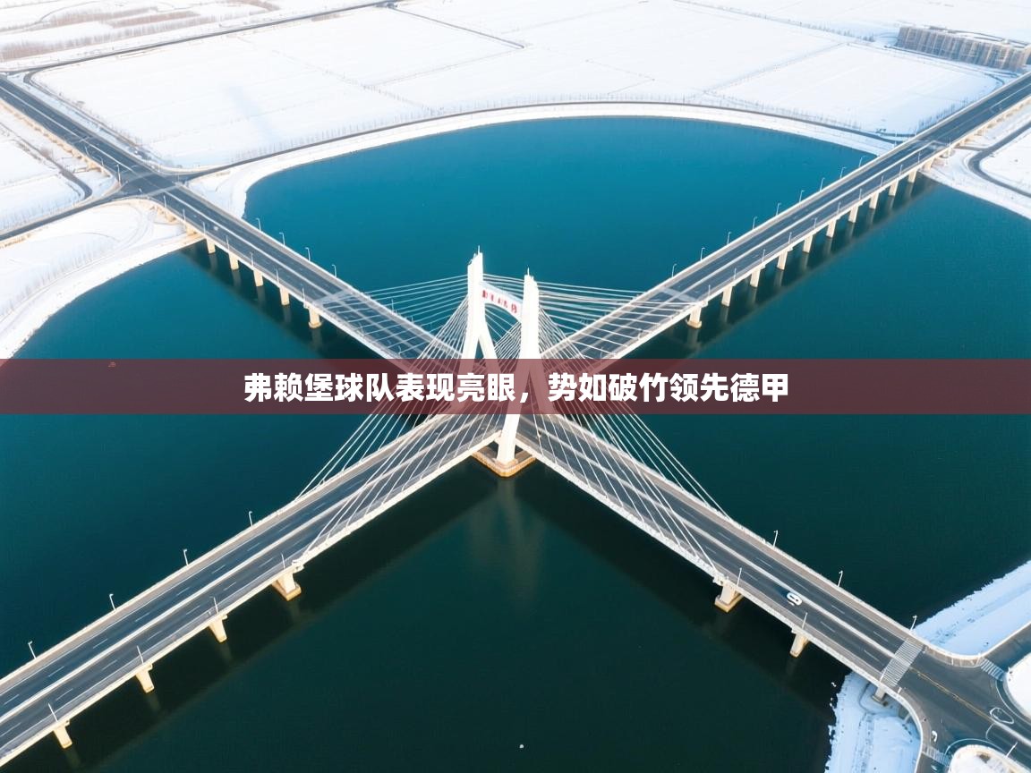 弗赖堡球队表现亮眼,势如破竹领先德甲 第2张