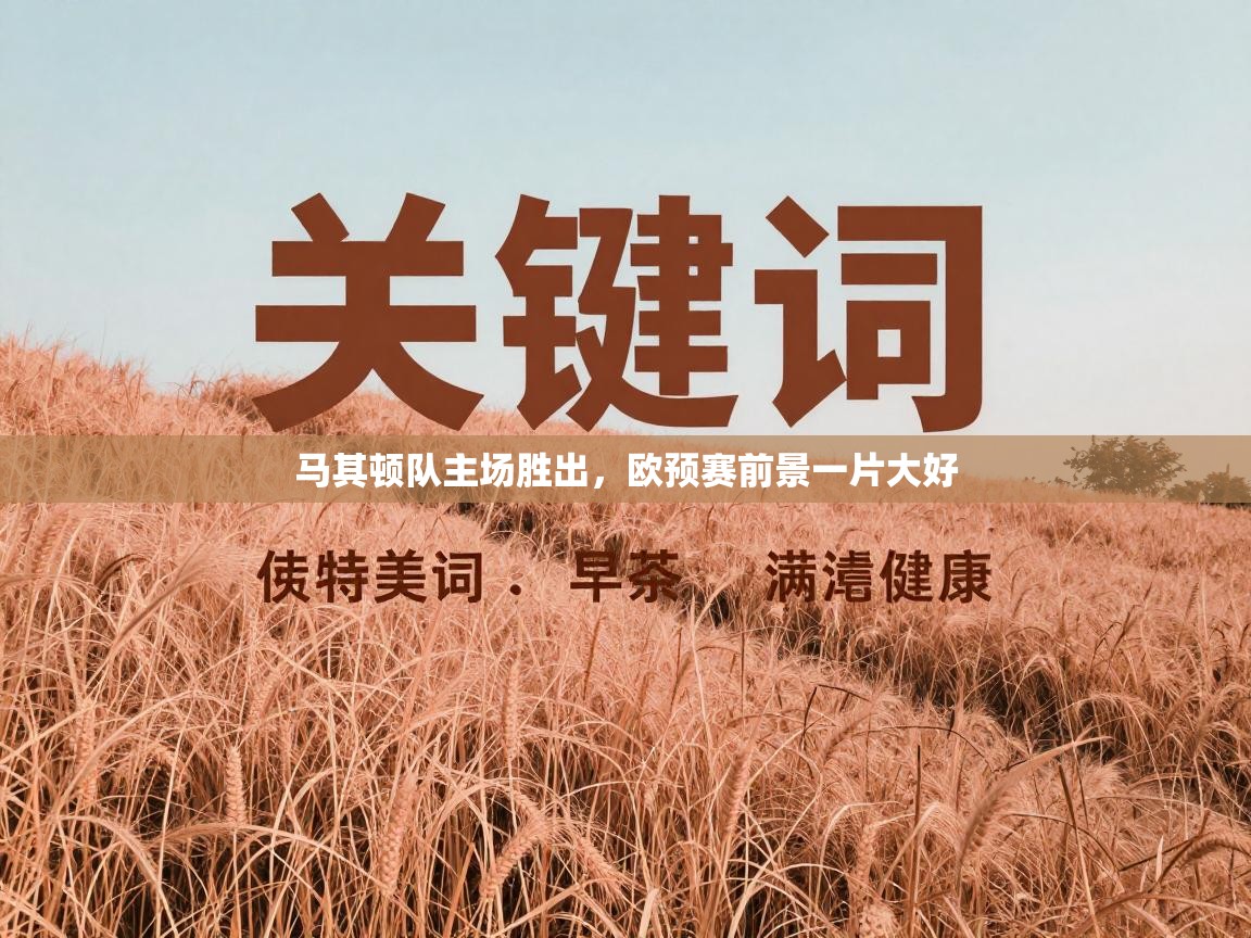 马其顿队主场胜出,欧预赛前景一片大好 第2张