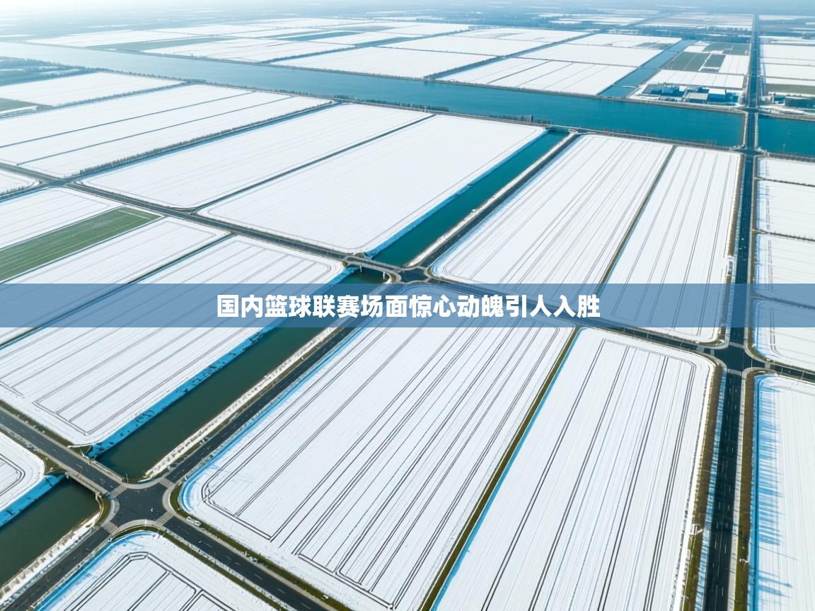 国内篮球联赛场面惊心动魄引人入胜  第2张