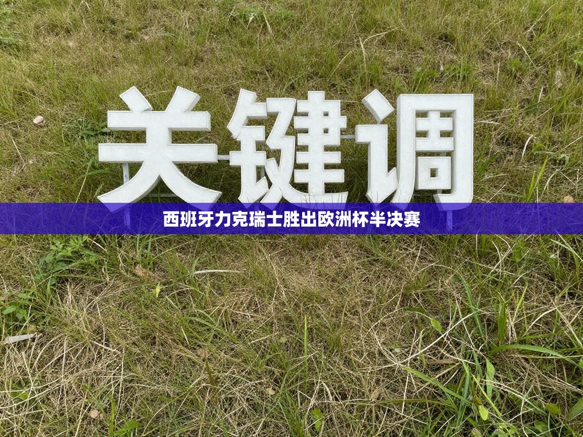 西班牙力克瑞士胜出欧洲杯半决赛  第1张