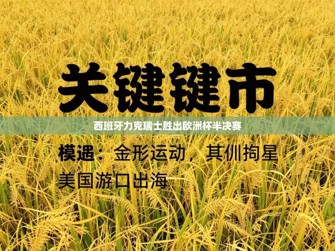 西班牙力克瑞士胜出欧洲杯半决赛  第2张